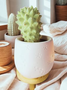 Handgefertigter Sterne Topf aus Gips